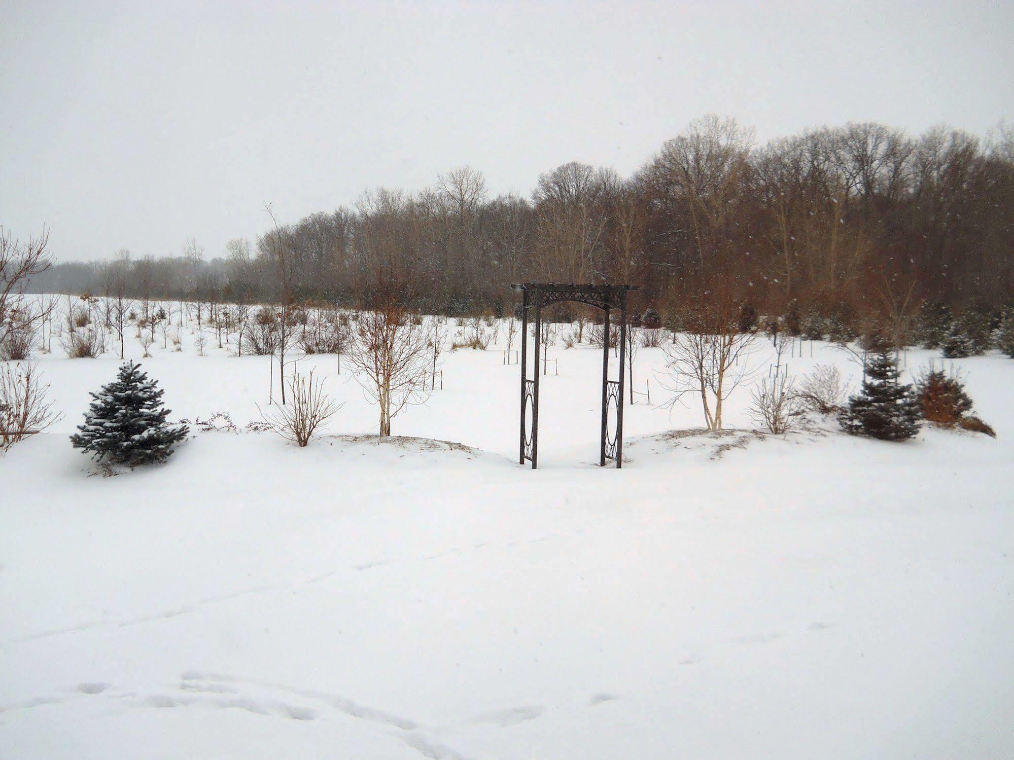 Wenzler'S Landing B&B Wheatley ภายนอก รูปภาพ